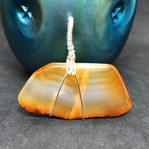 🌟 Wire Wrapped Fossil Pendant-Petrified Wood